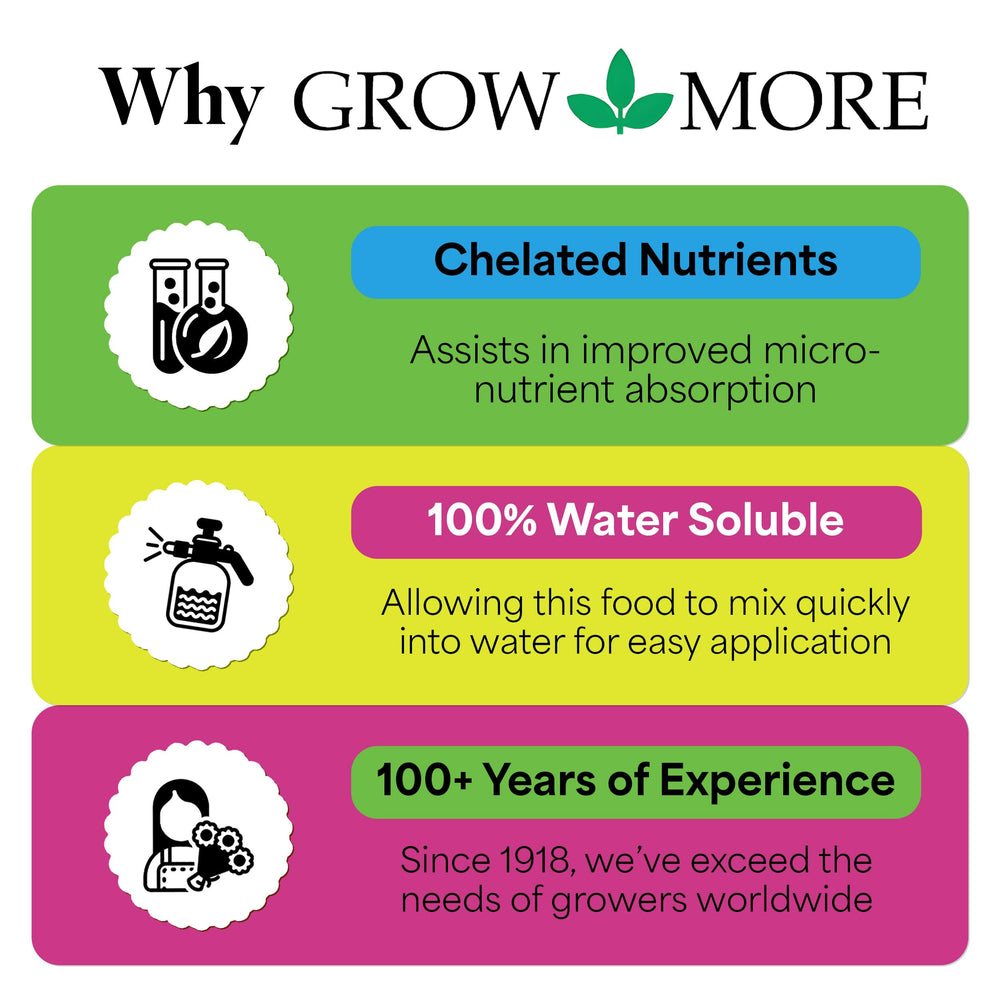 Grow More applied to container garden showing healthier foliage