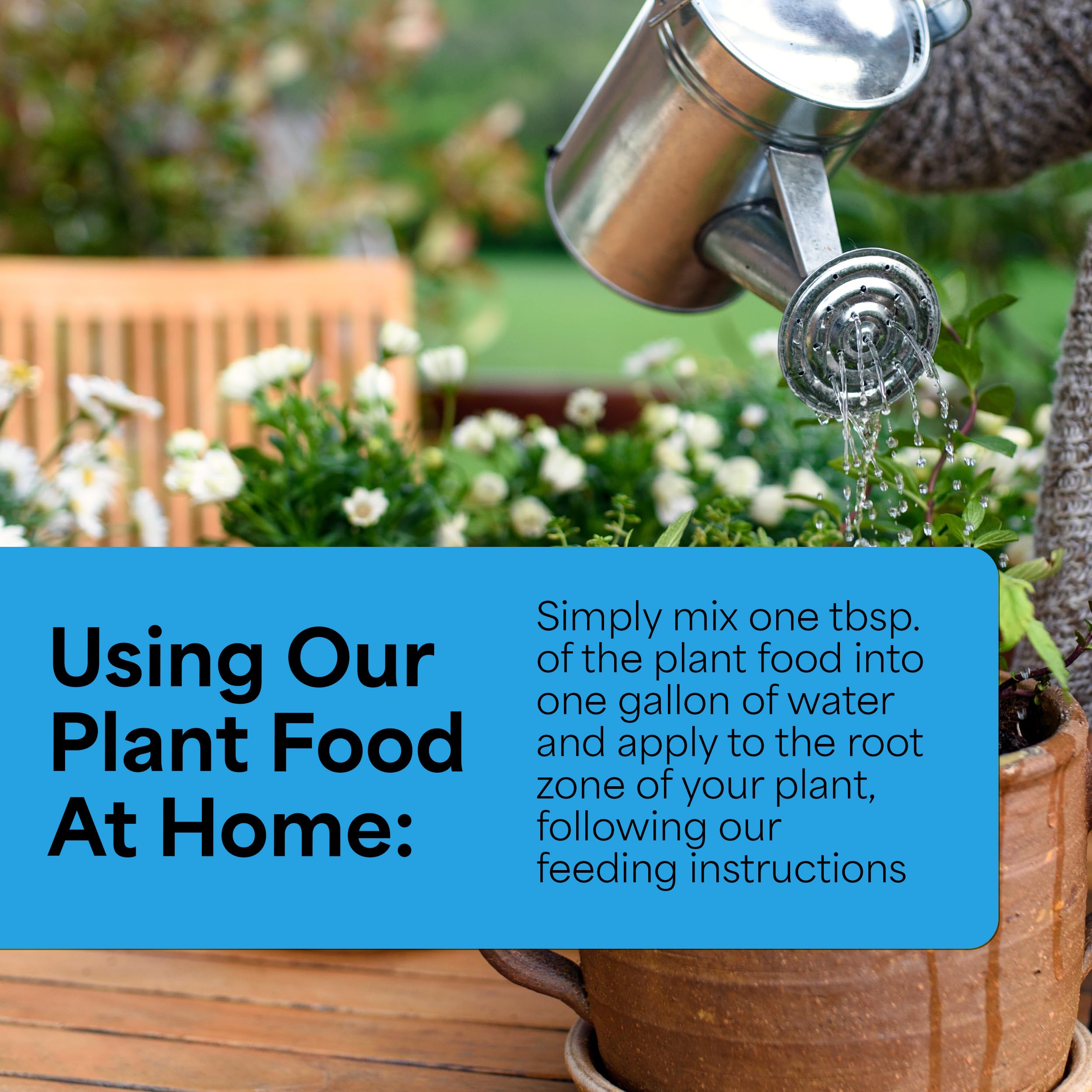 Grow More foliar spray applied to houseplant leaves for fast uptake