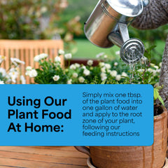 Grow More foliar spray applied to houseplant leaves for fast uptake