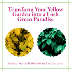 Grow More concentrate being poured into water for easy dilution