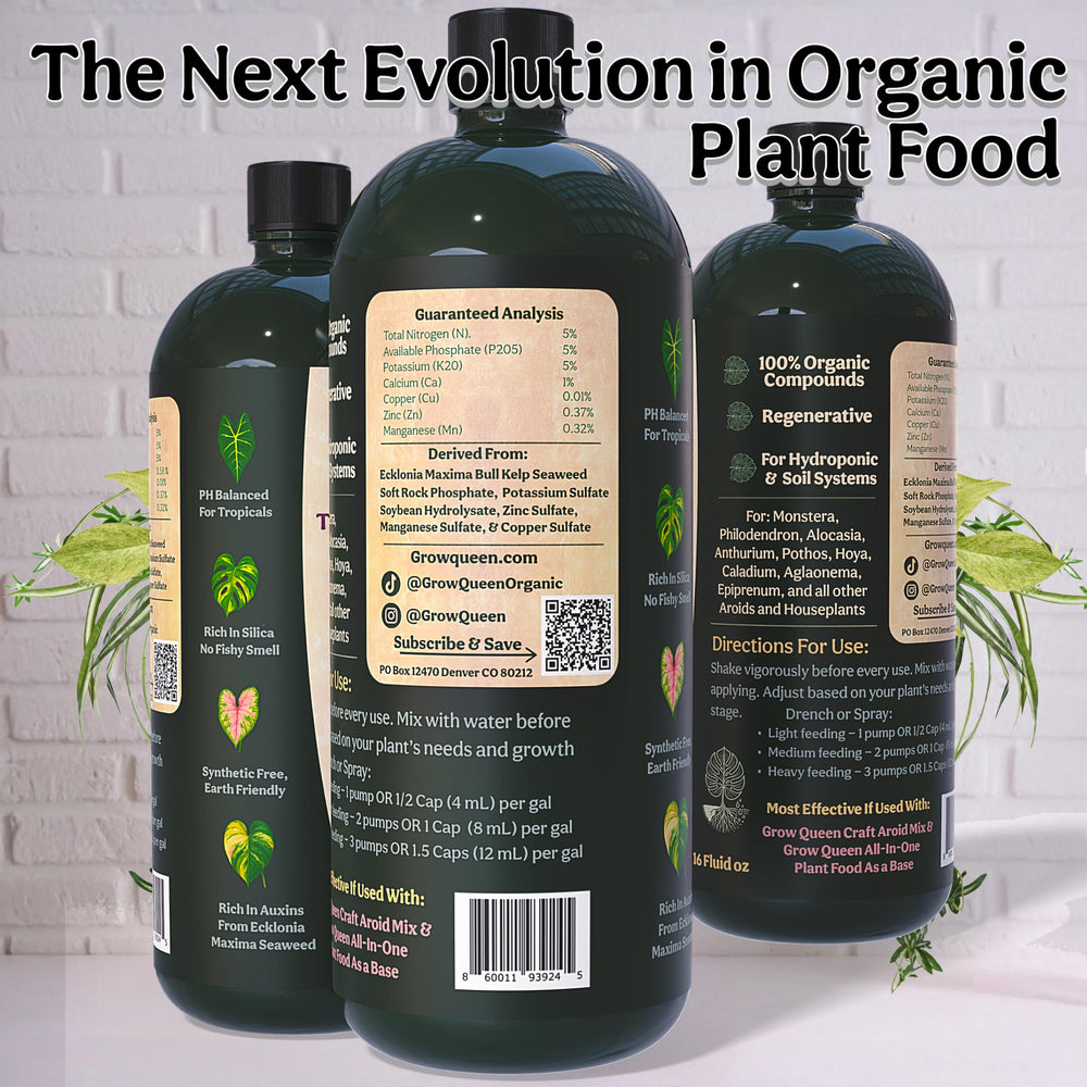 Grow Queen sea kelp close-up ingredient highlighting natural nutrients