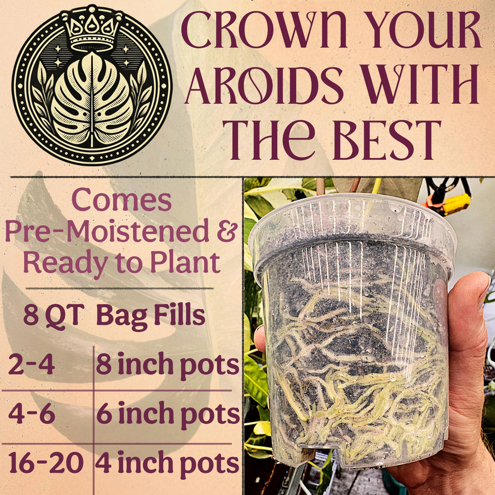 Grow Queen label highlighting certified organic coco coir and sustainable ingredients benefits