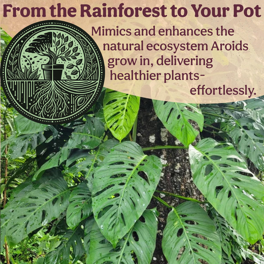 Grow Queen demonstration of water draining quickly through the mix to prevent soggy soil