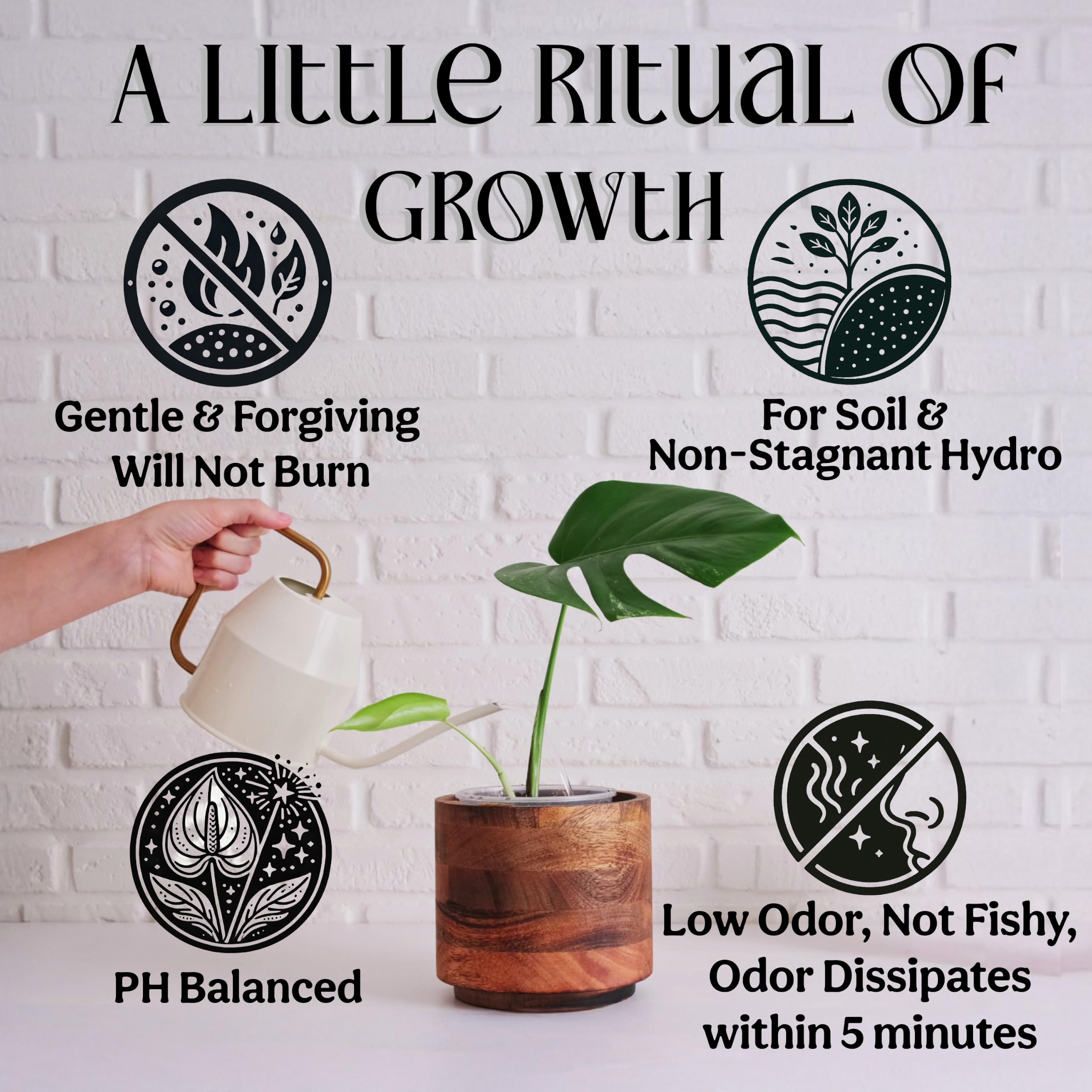 Grow Queen pouring fertilizer into measuring cup for accurate dosing