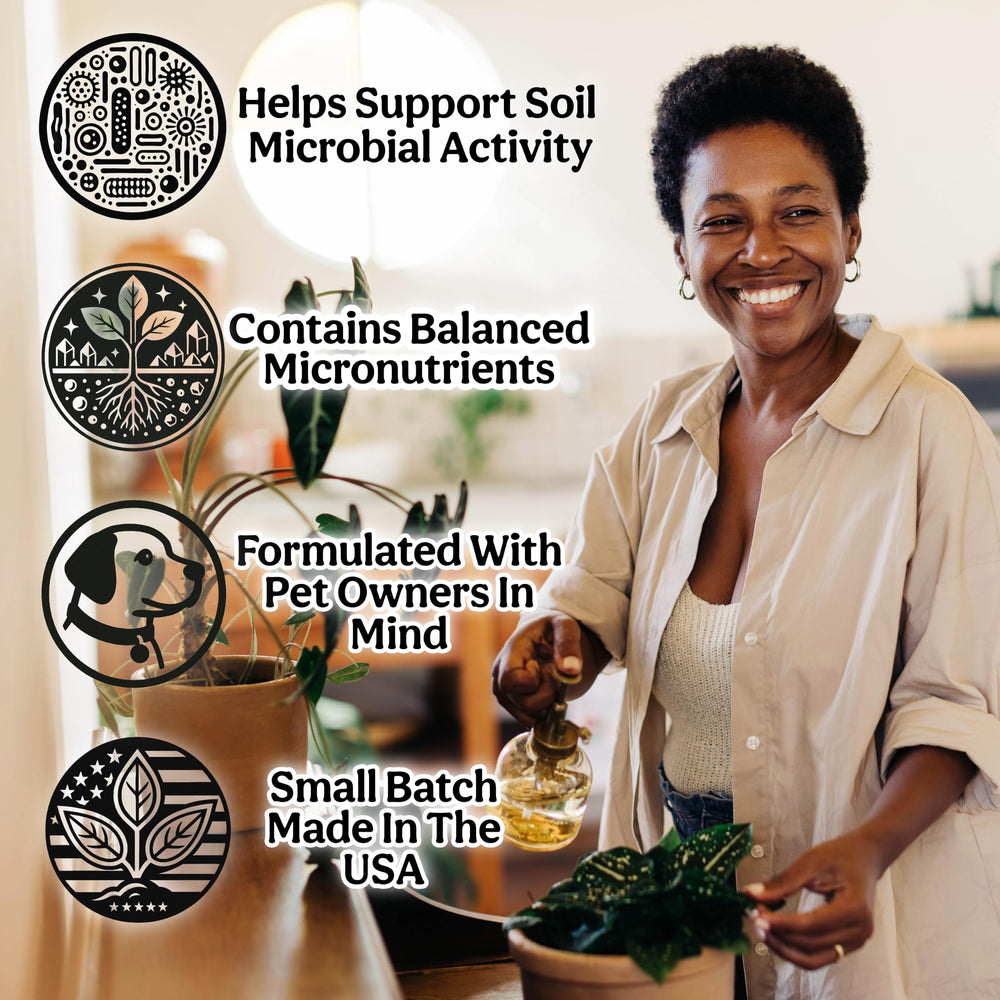 Grow Queen root comparison image showing fuller roots and vigor
