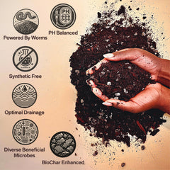 Grow Queen close-up of coco coir texture showing clean fibers for healthy moisture retention