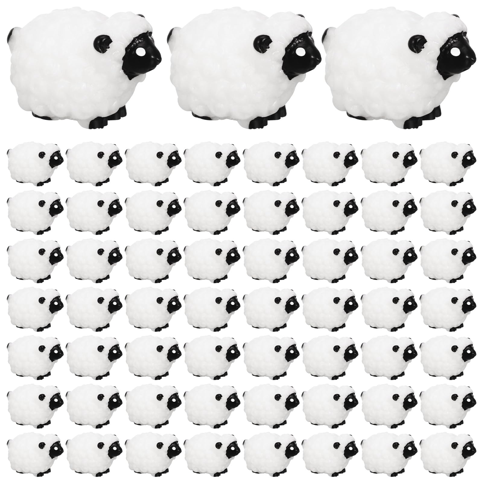 Guiqulai black mini sheep front view showing cute shape and outdoor use