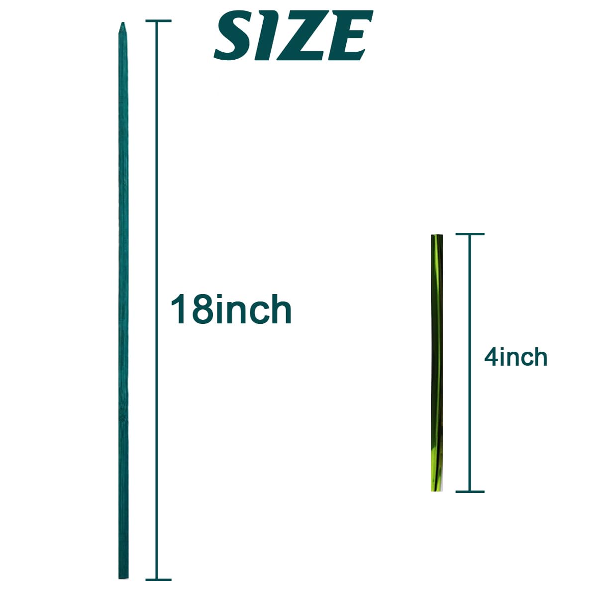 GXXMEI close-up of pointed bamboo tip and natural texture for easy soil insertion