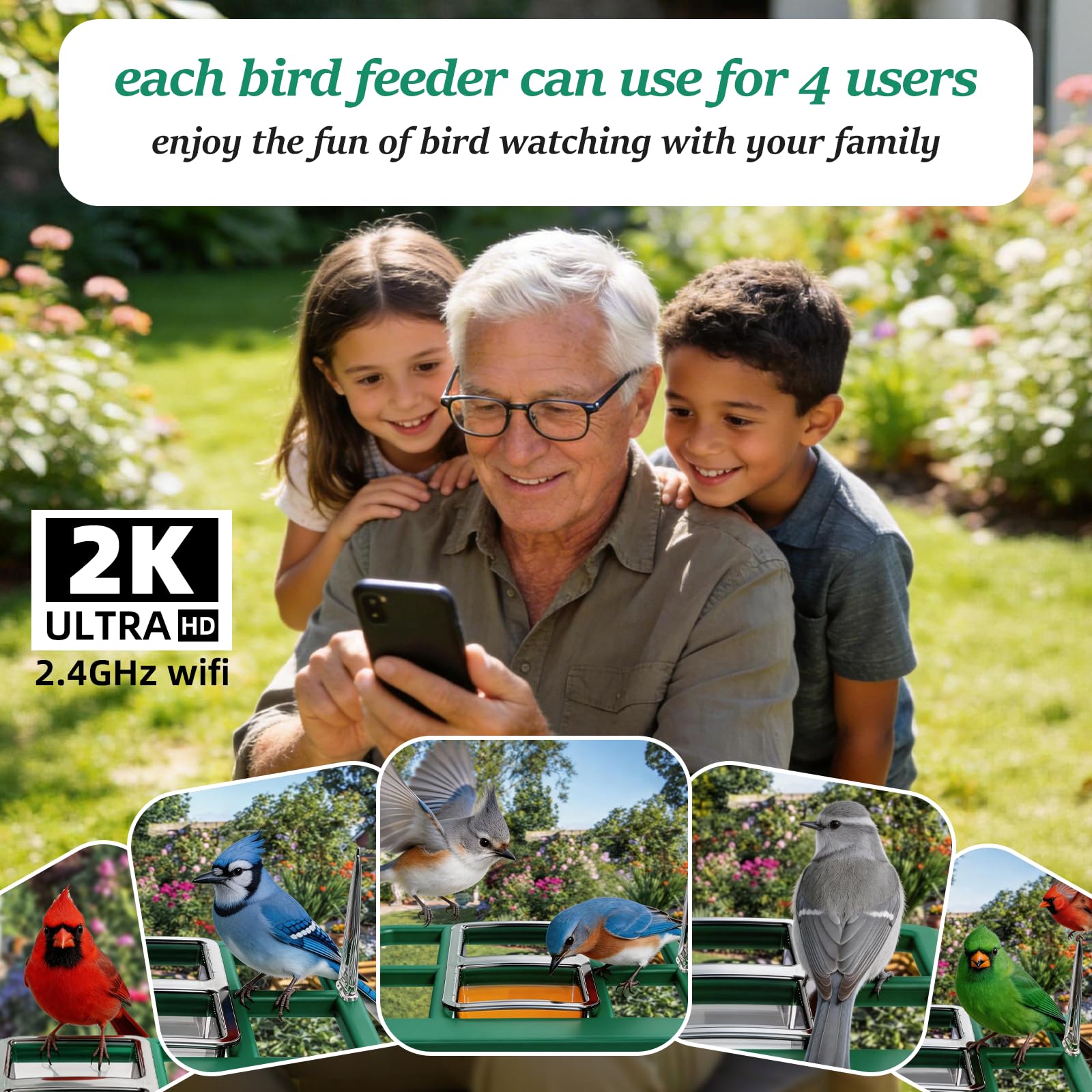 Gyozol seed hopper and feeding trays showing multi-food options to attract varied bird species