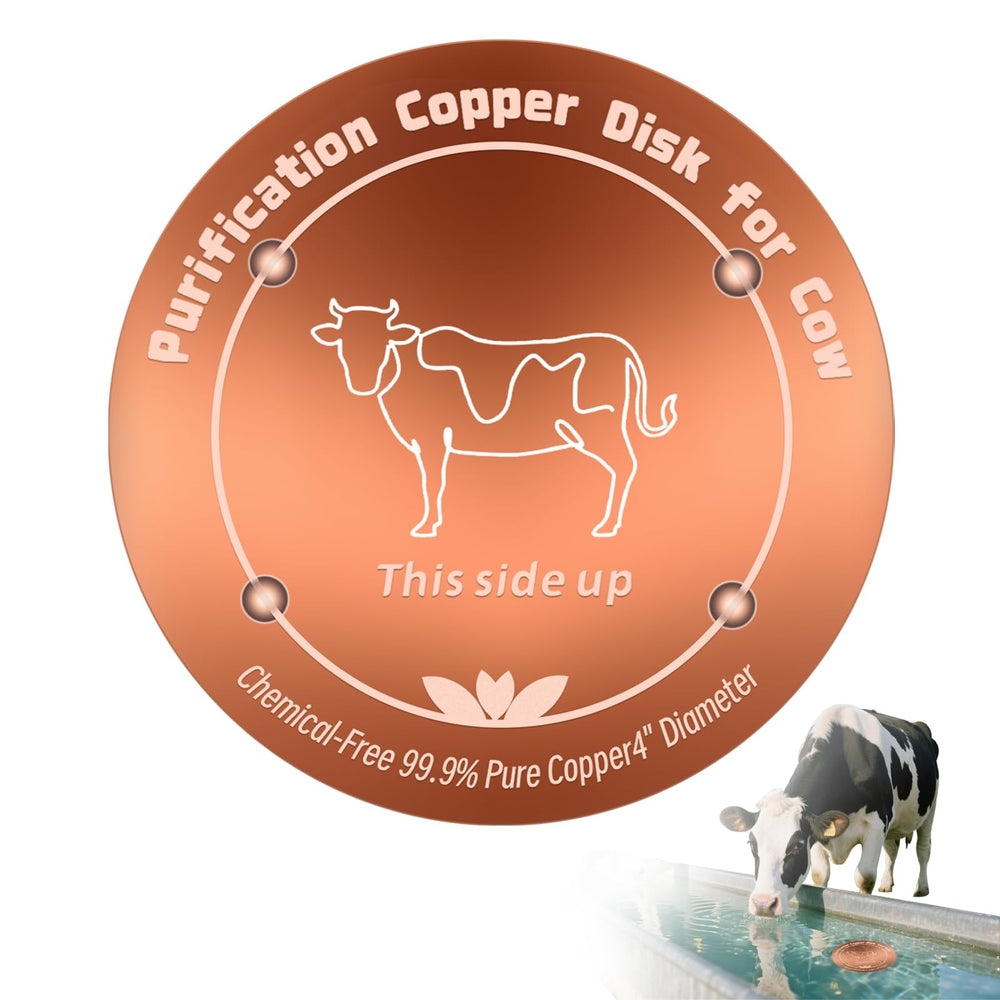 HAEZU copper disk front view showing clean round disc and supports for easy installation