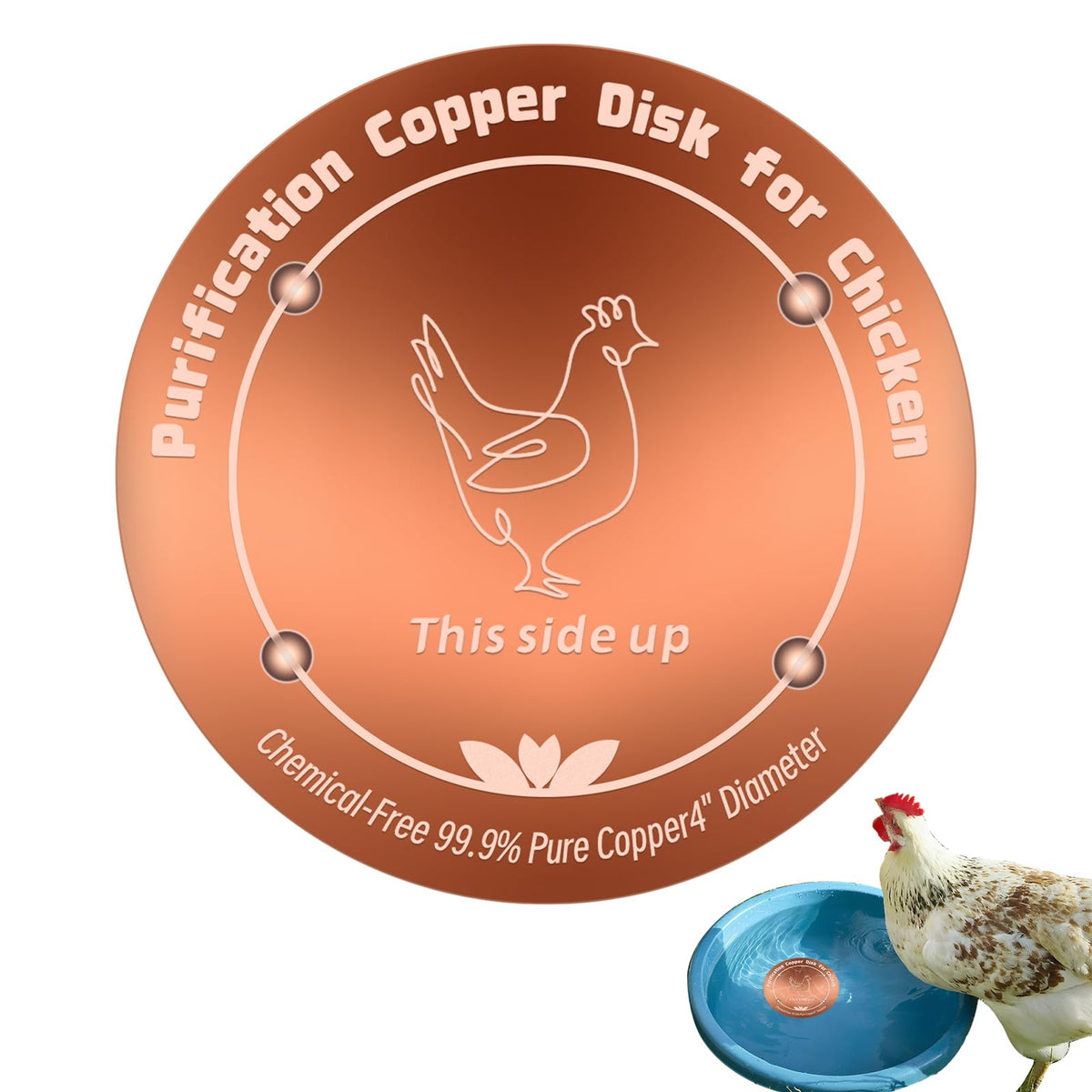 HAEZU copper disk front view showing compact design and easy upgrade benefit