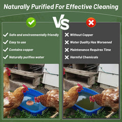 HAEZU copper disk sitting in a chicken waterer demonstrating cleaner water benefit