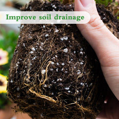 HAINANSTRY perlite mixed into potting soil demonstrating improved drainage and aeration