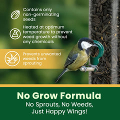 Happy Wings seeds poured into feeder attracting songbirds