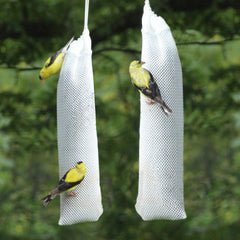Happy Wings nyjer seed texture close-up showing clean small seeds for finches