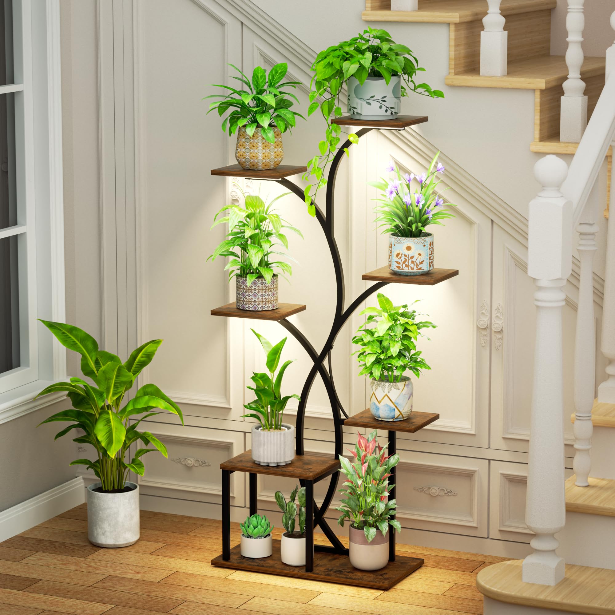 HAVLOTII side-by-side scale with potted plant to show tier spacing and capacity