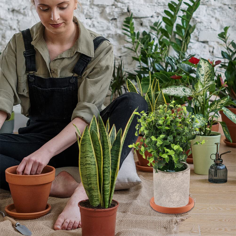 Healeved saucers organized on a shelf highlighting tidy plant care