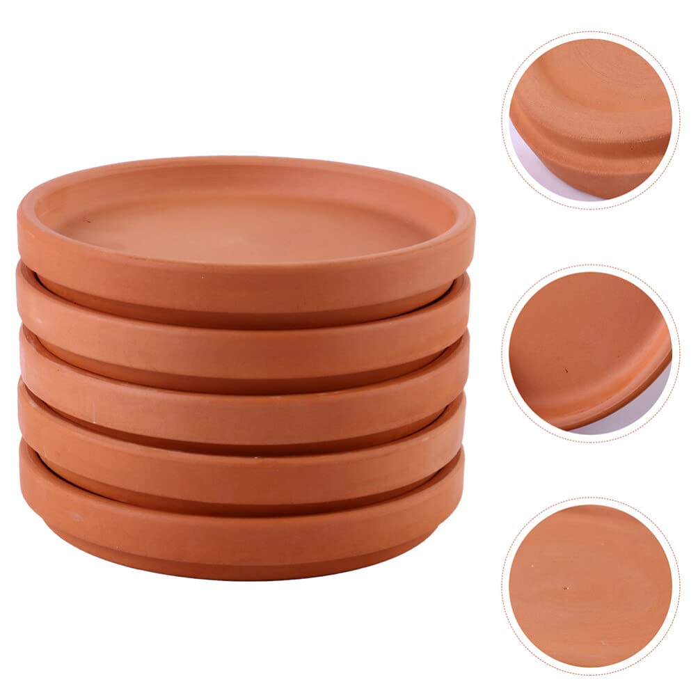 Healeved saucer under a succulent pot catching drainage and protecting surface