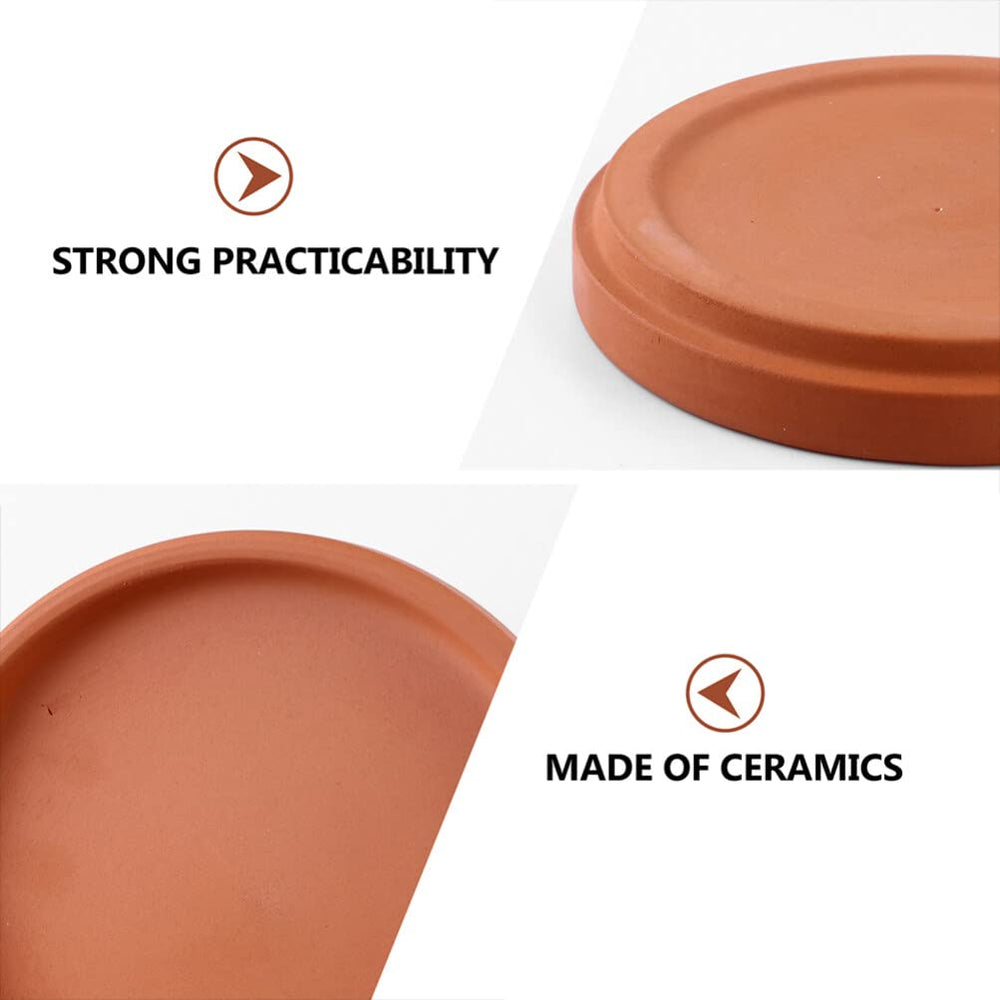 Healeved saucer next to a 3-inch pot for clear size comparison