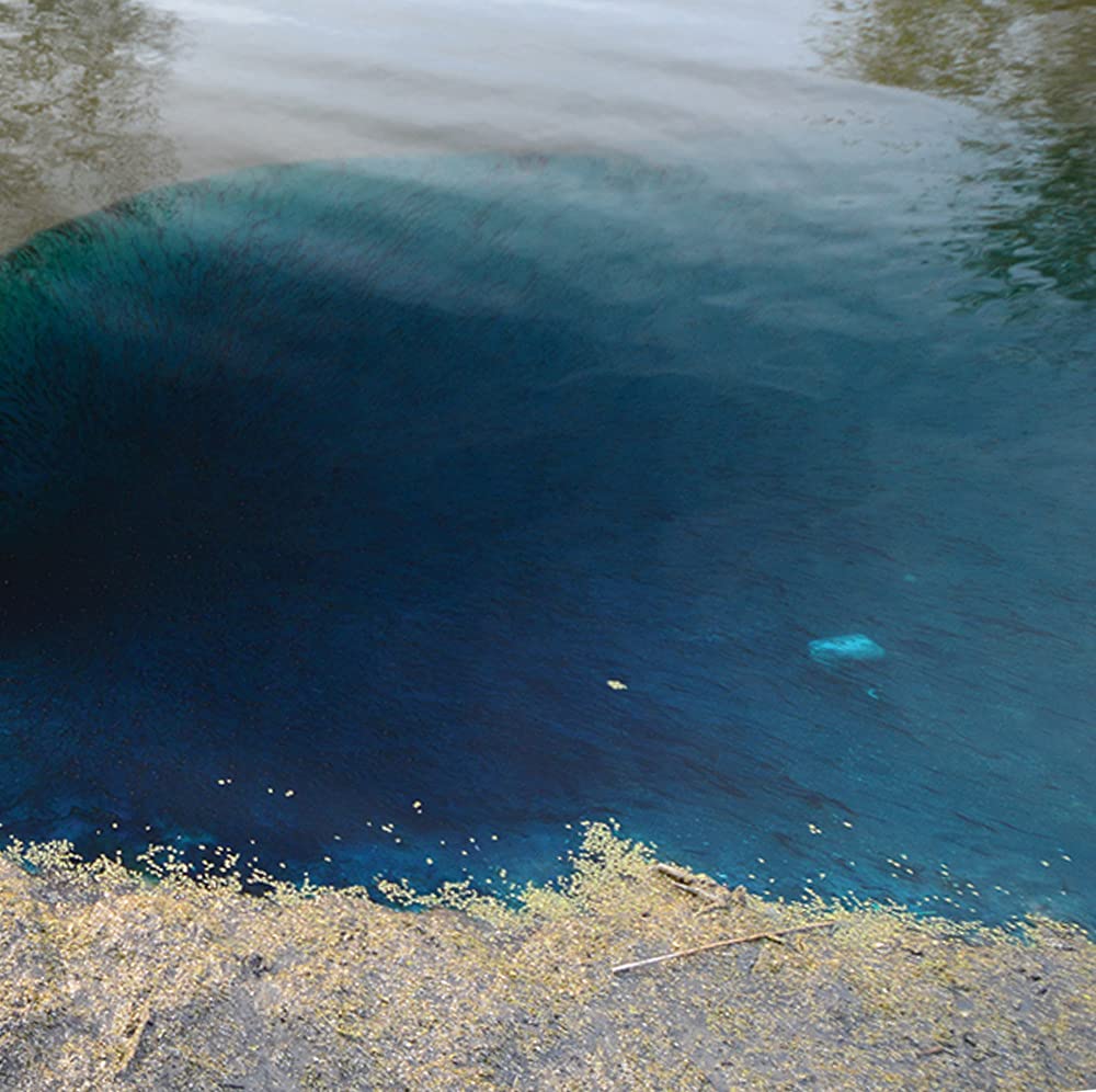Healthy Ponds dye dissolving in water illustrating fast dispersion benefit