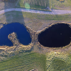 Healthy Ponds before and after pond view showing improved color and curb appeal