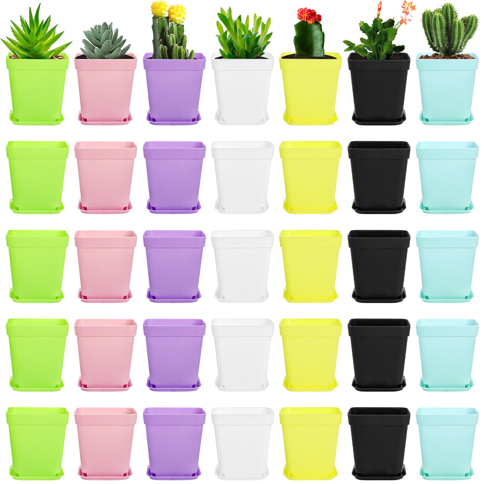 Hedume front pack display showing all 70 colorful square pots, easy organization benefit