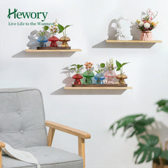 Hewory clear glass vase showing visible root growth for easy monitoring benefit