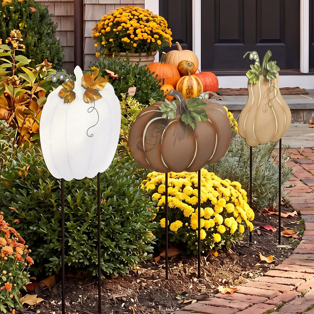 Hicarer size comparison on lawn showing scale and placement ideas