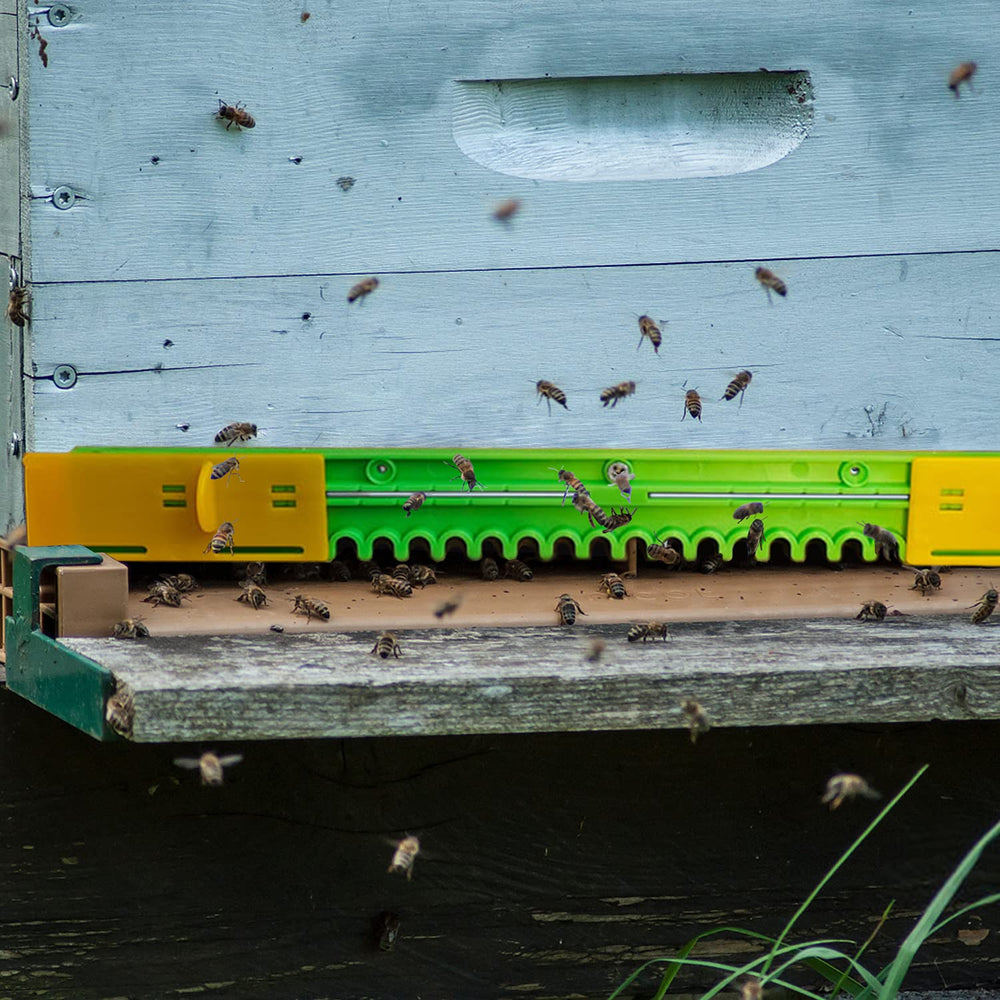 HIMO six-pack arranged showing multiple units for multi-hive benefit