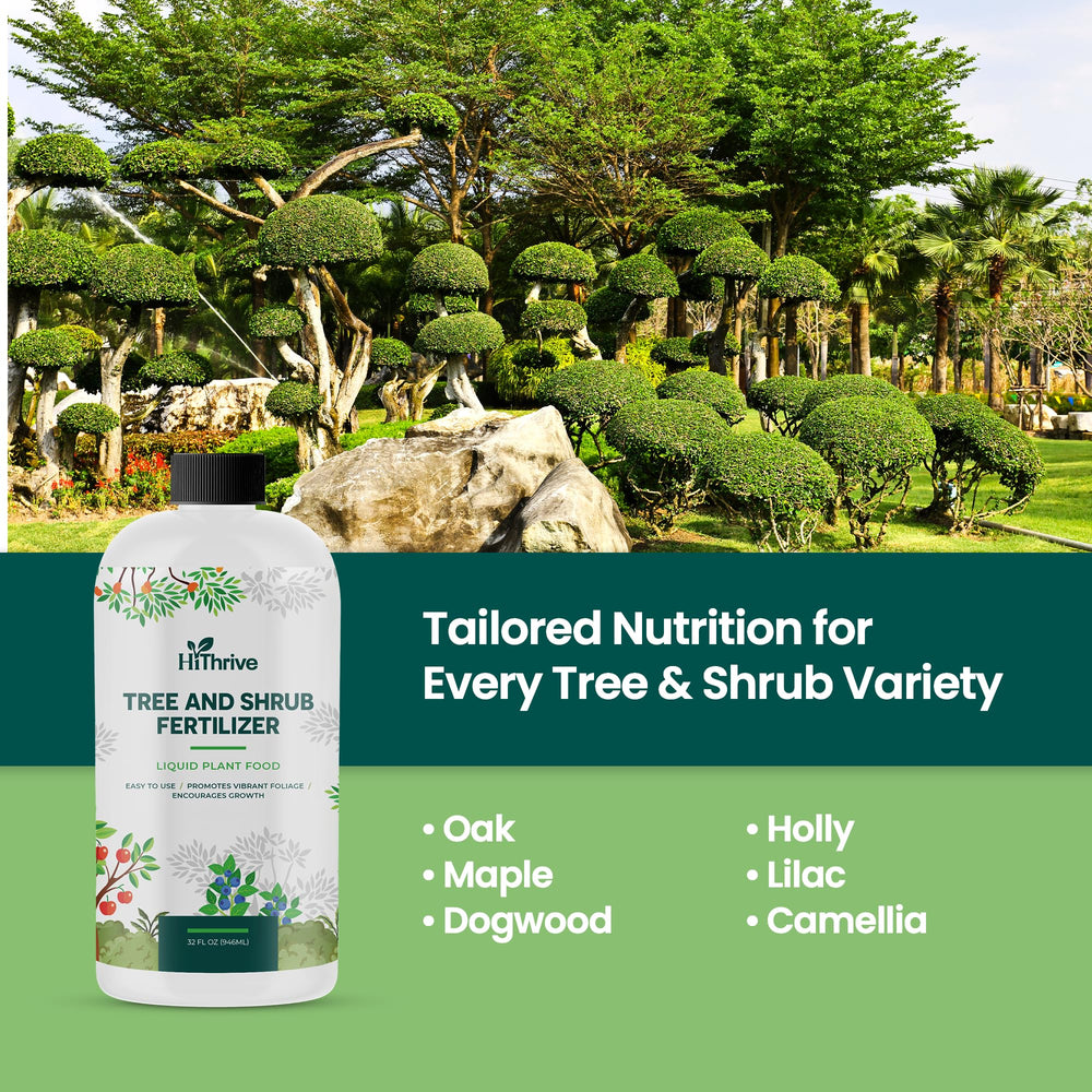 HiThrive applied around a tree root zone promoting stronger roots benefit