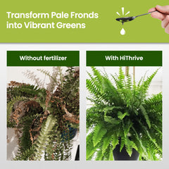 HiThrive fertilizer being mixed into water for easy soil feeding