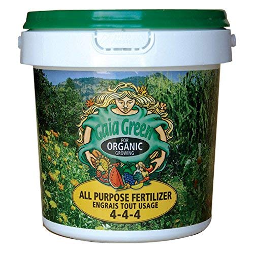 HollandBasics Gaia Green front packaging showing 2kg bag and organic label benefits