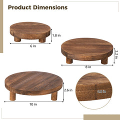 Homaisson size comparison with hand demonstrating scale and suitable pot sizes