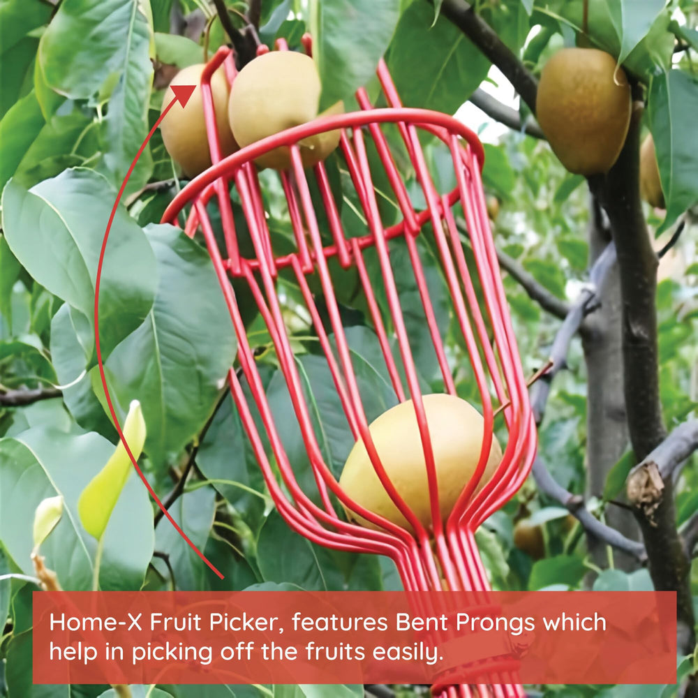 Home-X empty vinyl-coated basket ready to collect multiple fruits