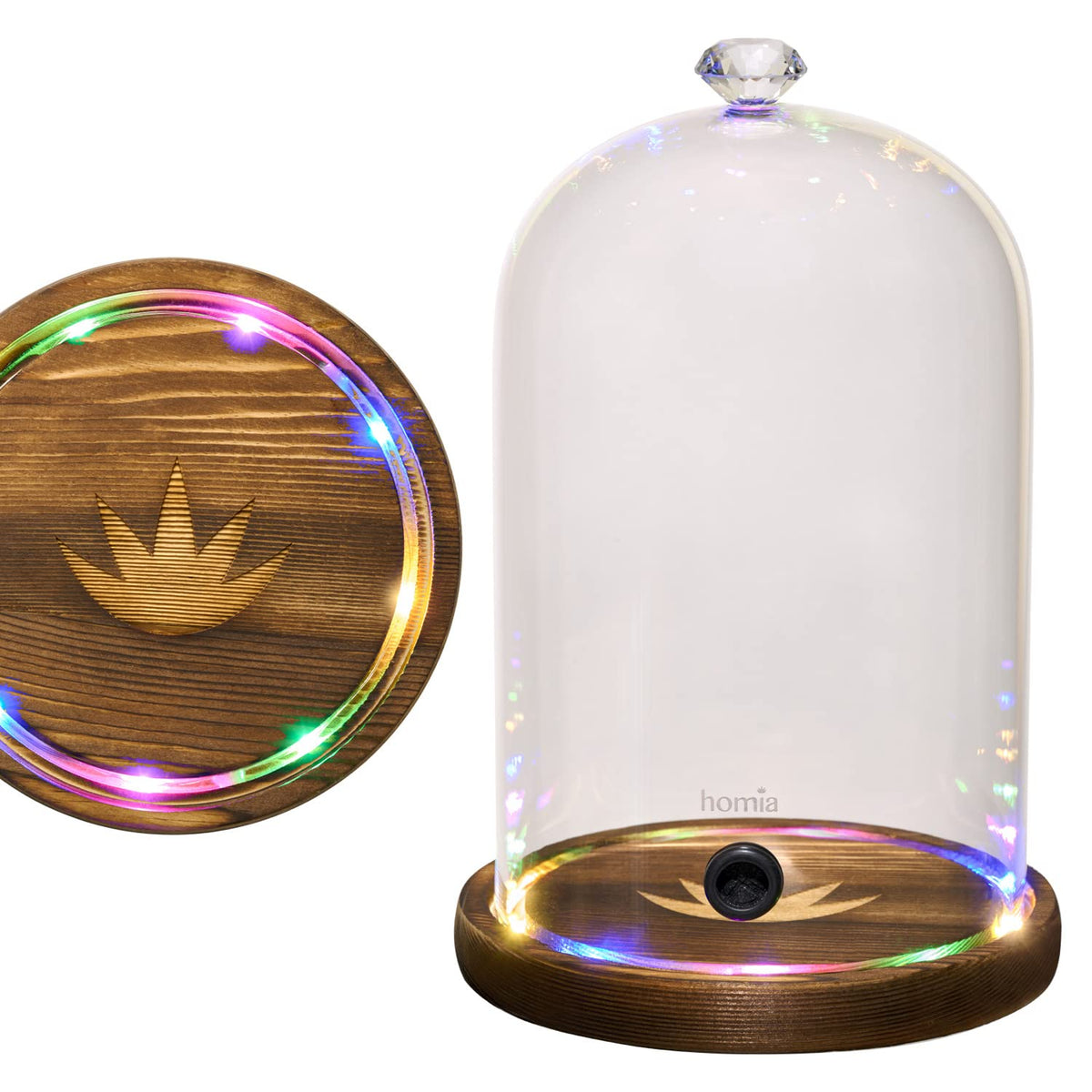 homia front view of glass cloche showing elegant presentation benefit