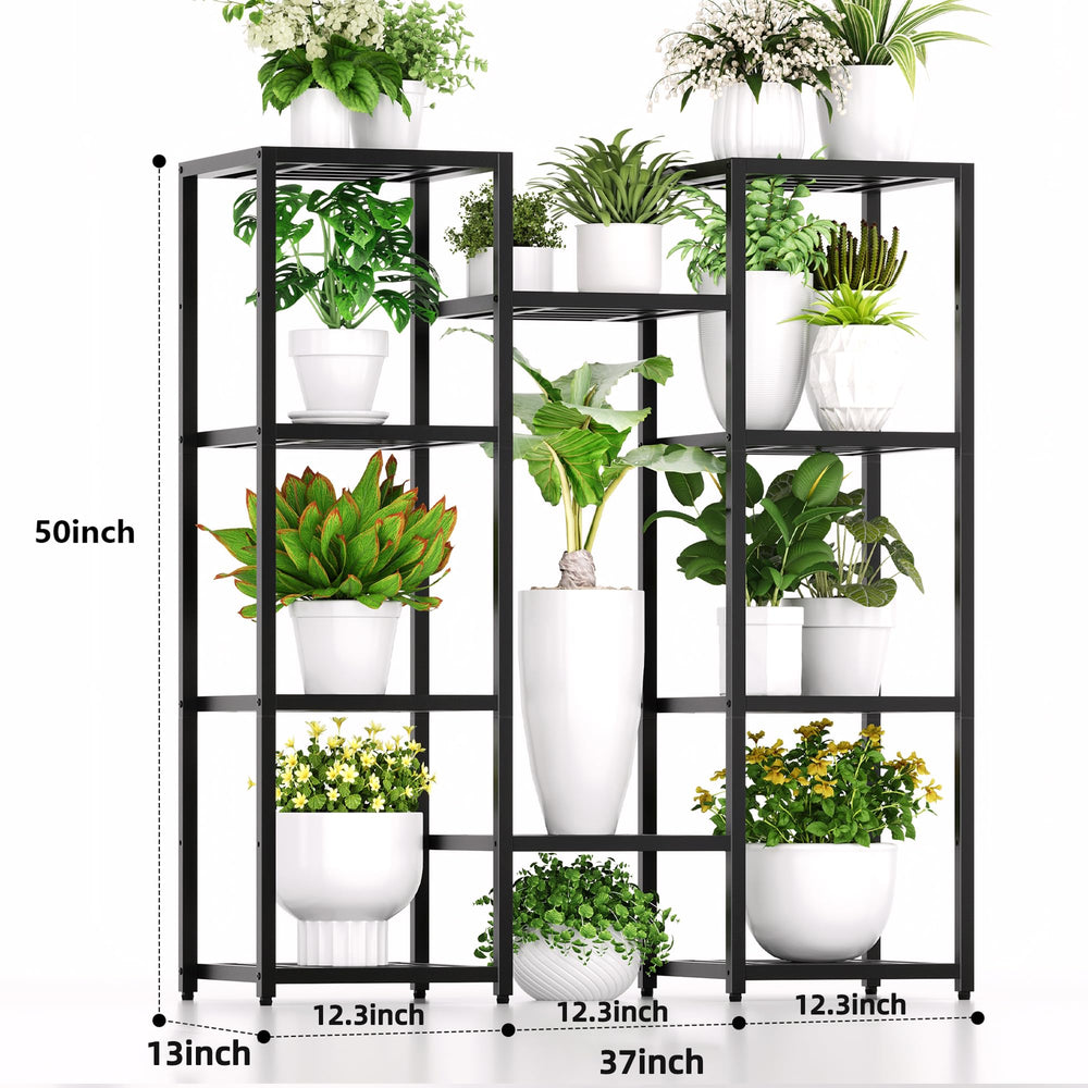 Hongsane tier spacing showing tall plant demonstrating room for large foliage