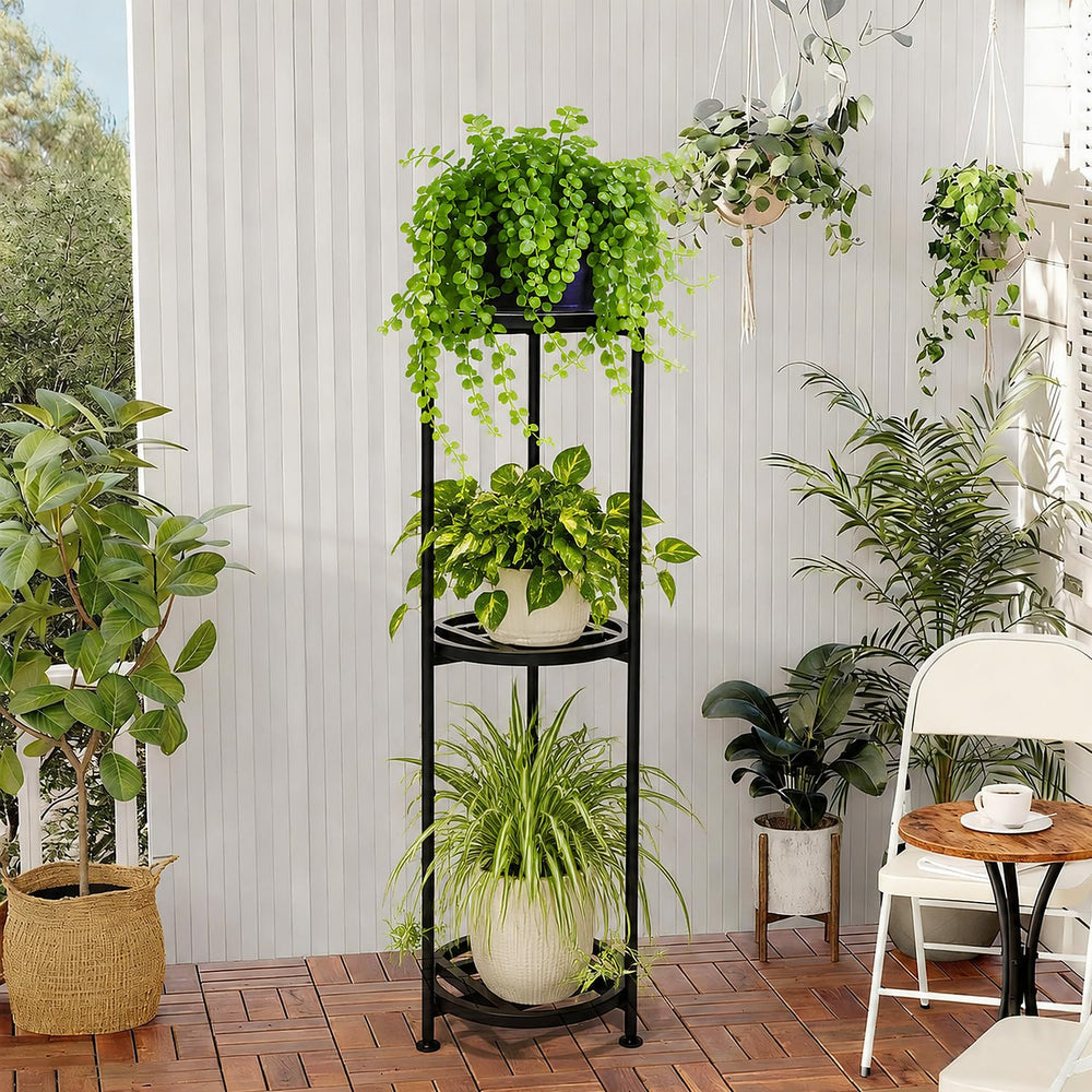 Hongsane near window showing indoor styling and sunlight access