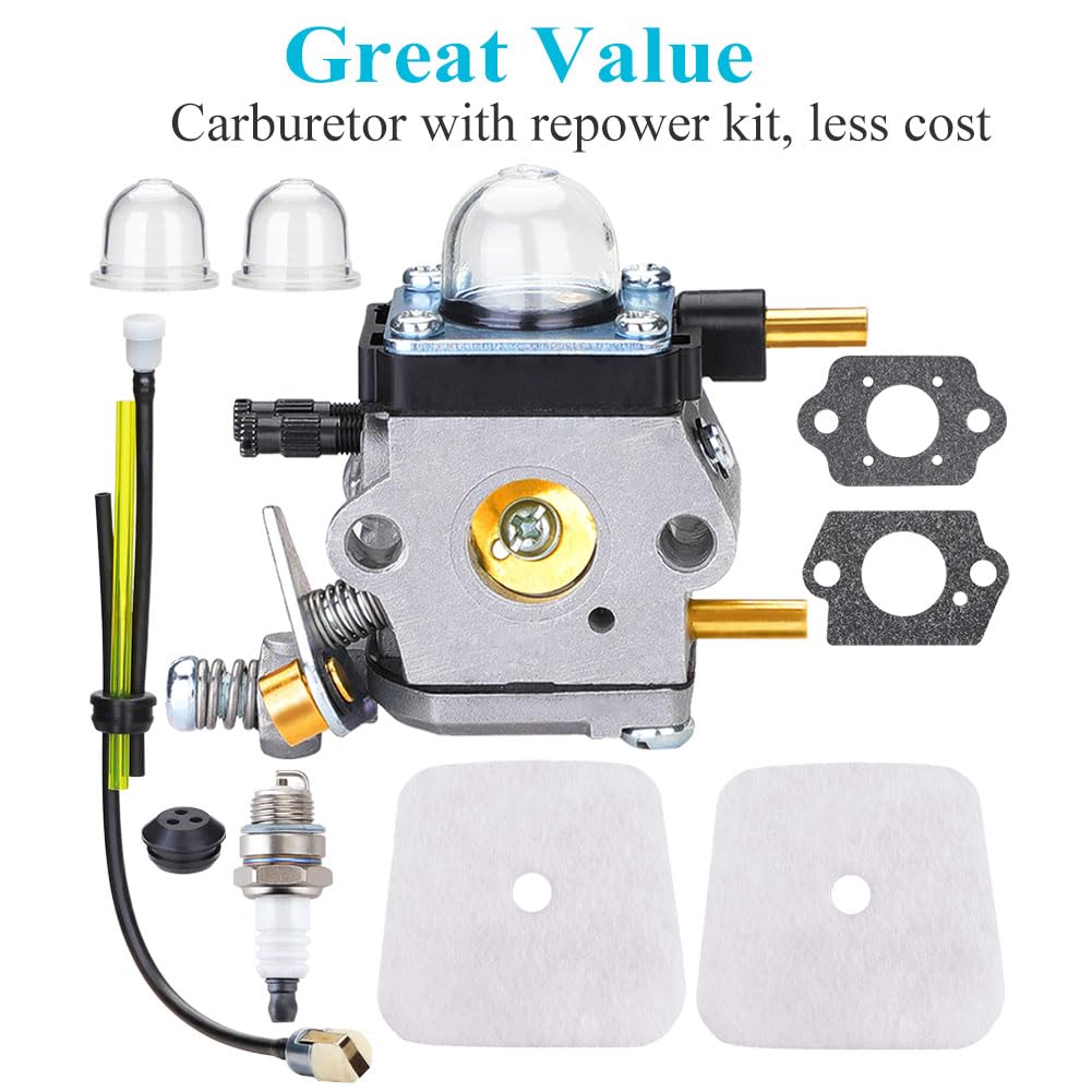 HOODELL carburetor scale comparison with ruler showing compact, serviceable size