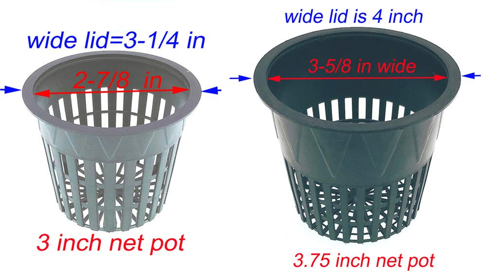 HORTIPOTS placed in hydroponic tray demonstrating system compatibility