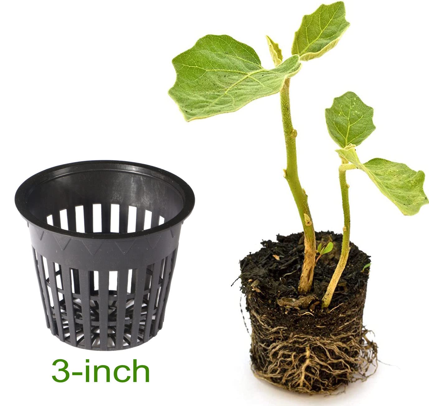 HORTIPOTS material and label close-up showing thickened walls for longevity