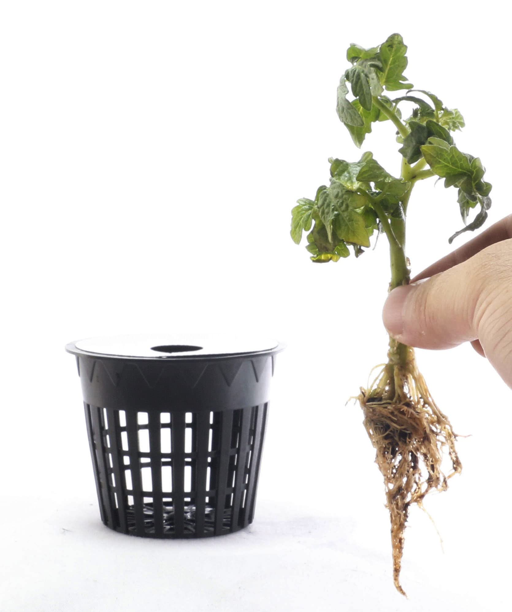 HORTIPOTS neatly stacked for compact storage saving space