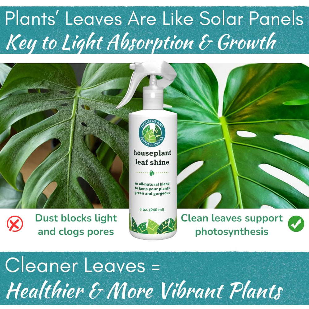 HOUSEPLANT RESOURCE CENTER cleaning a leaf with cloth showing quick, non-greasy finish