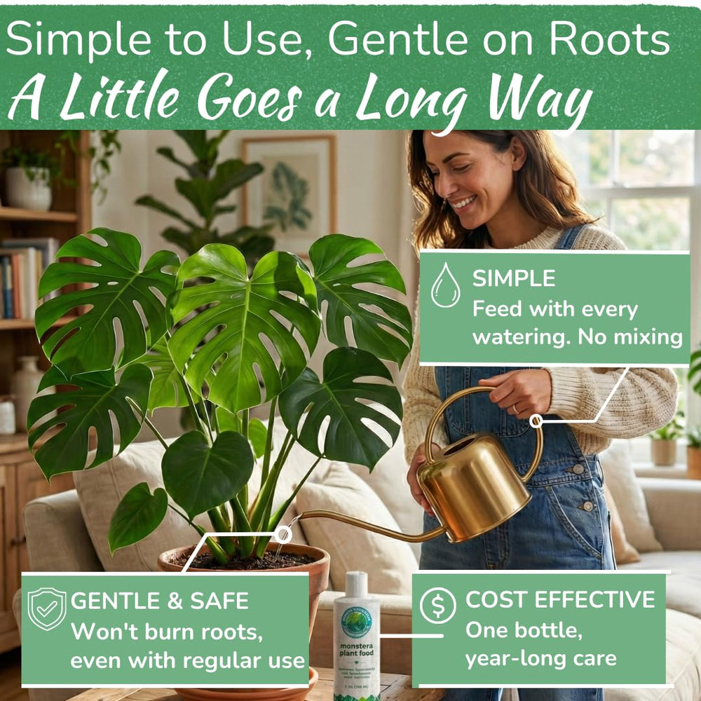 HOUSEPLANT RESOURCE CENTER mixing fertilizer in watering can for even feeding