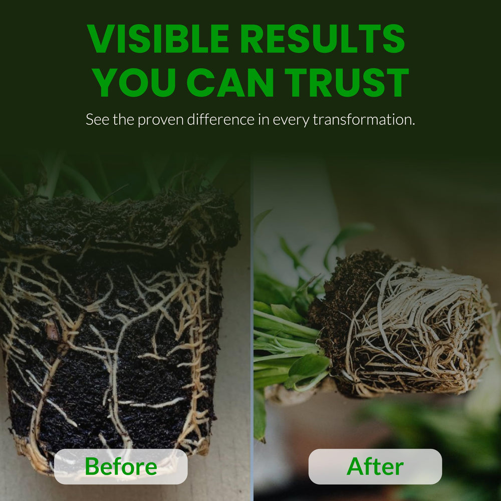 Humboldts Secret before and after reused soil showing rejuvenated media and nutrient release