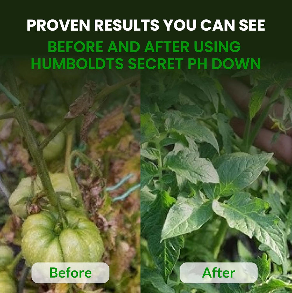 Humboldts Secret spray application on houseplant foliage showing indoor benefit