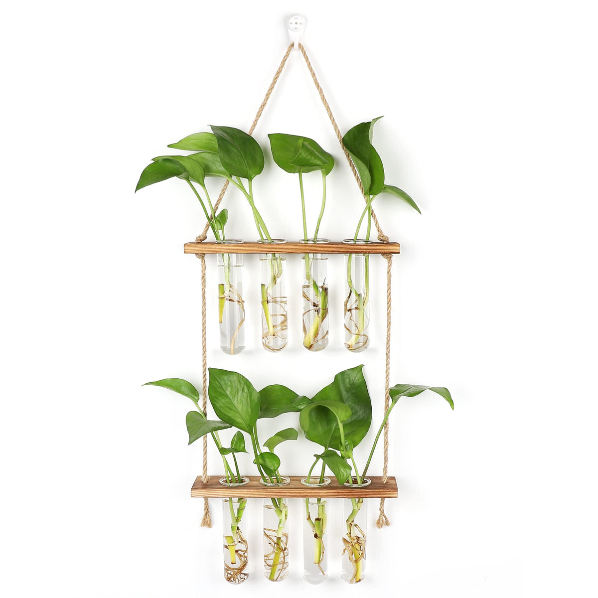 Hyindoor front view hanging planter showcasing minimalist display benefits
