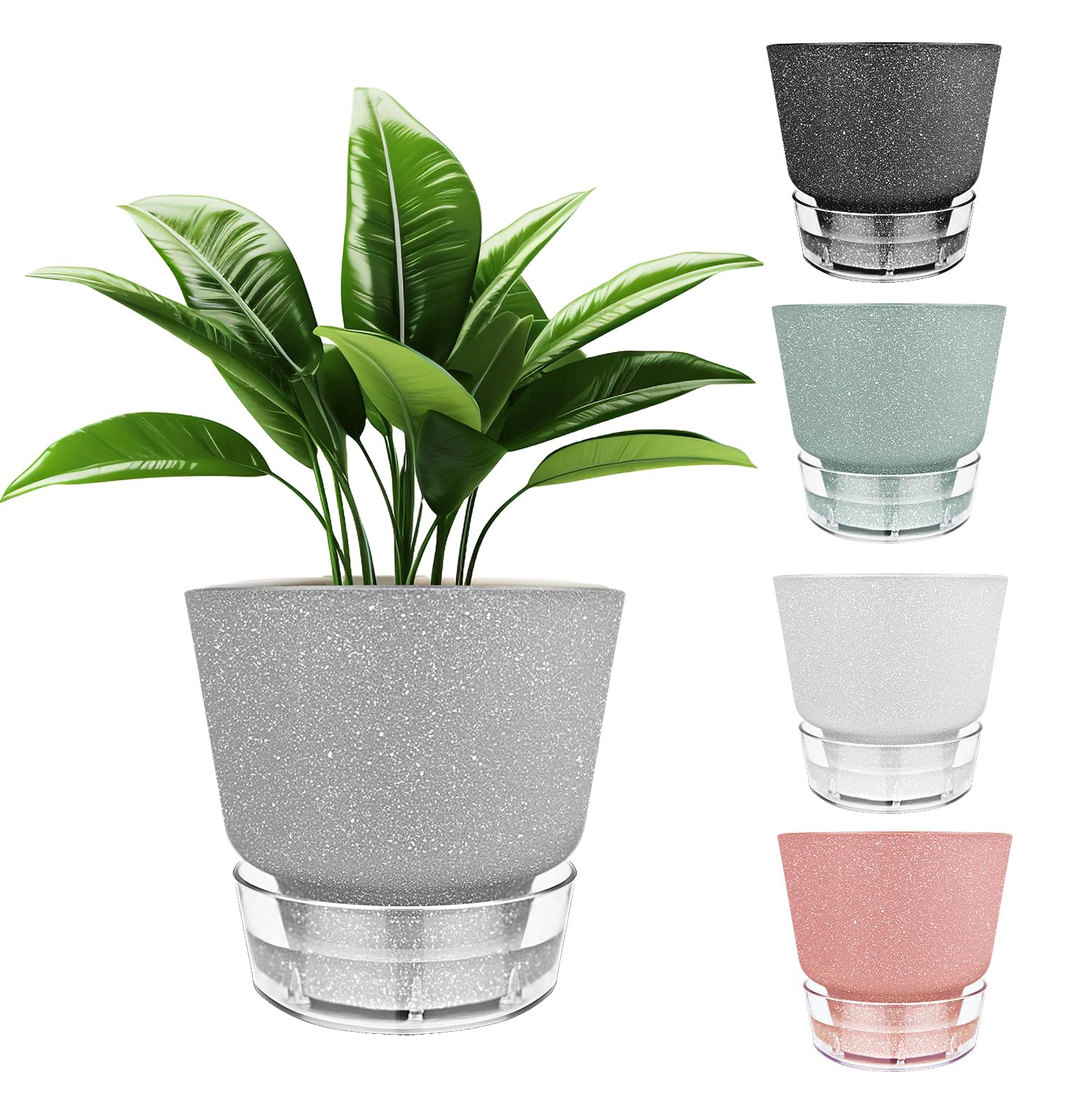 HYNZ front view of five pots showing mixed frosted colors and decorative appeal