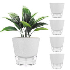 HYNZ frosted white five-pack front view showing clean design and easy styling