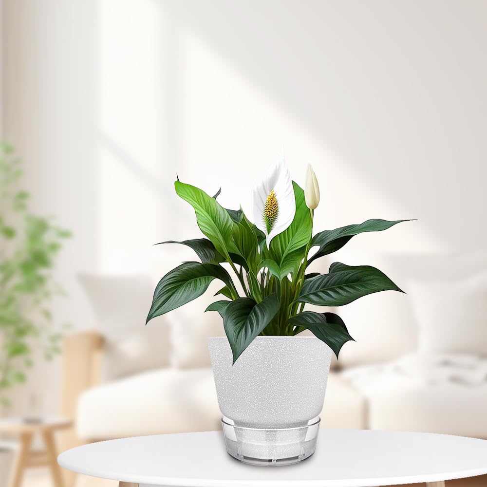 HYNZ hands holding pot showing lightweight polypropylene and easy handling