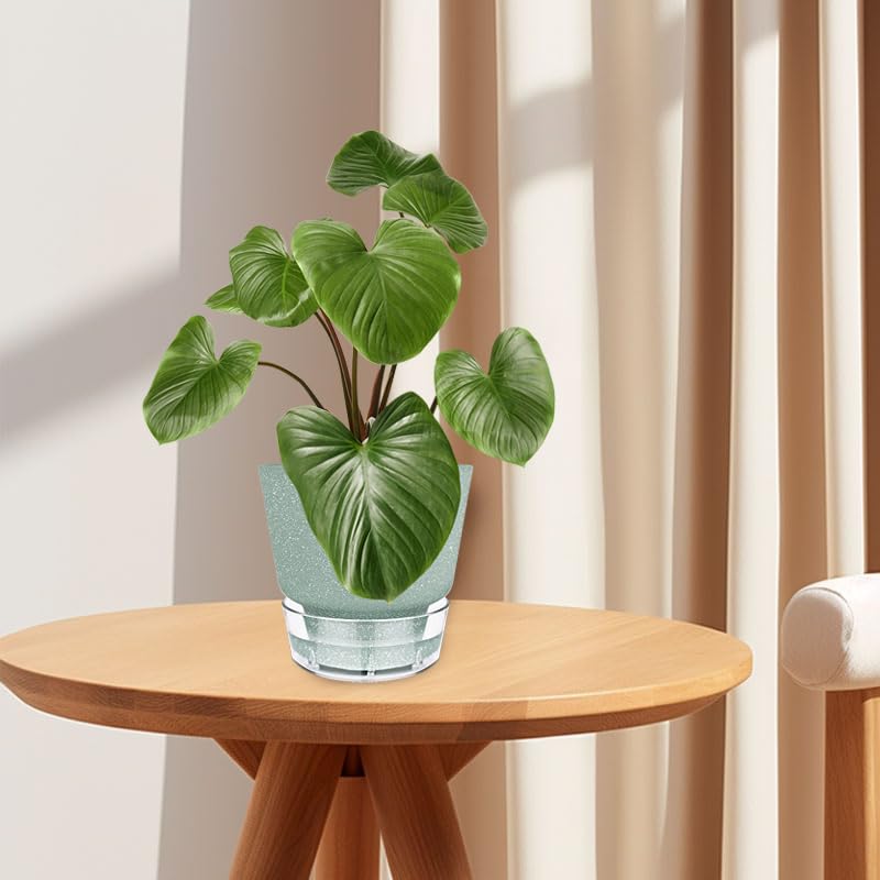 HYNZ pot in use on windowsill with plant, adding green decor and convenience